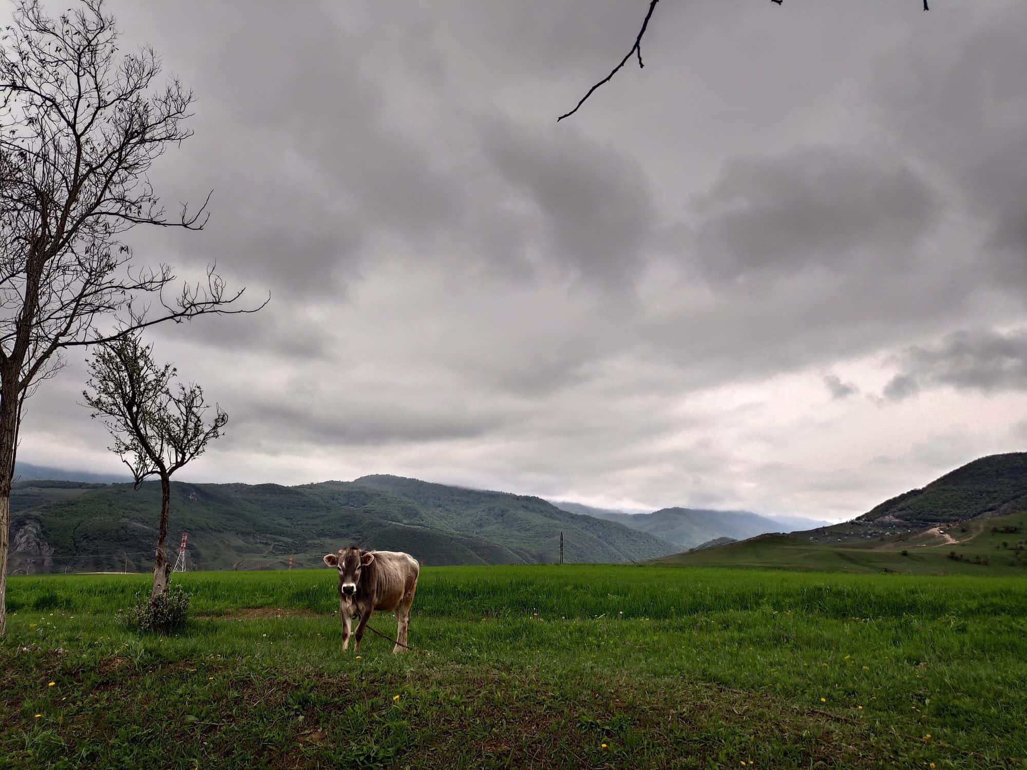 Houses and wooded hills of the village of Getashen, photographed in 2020